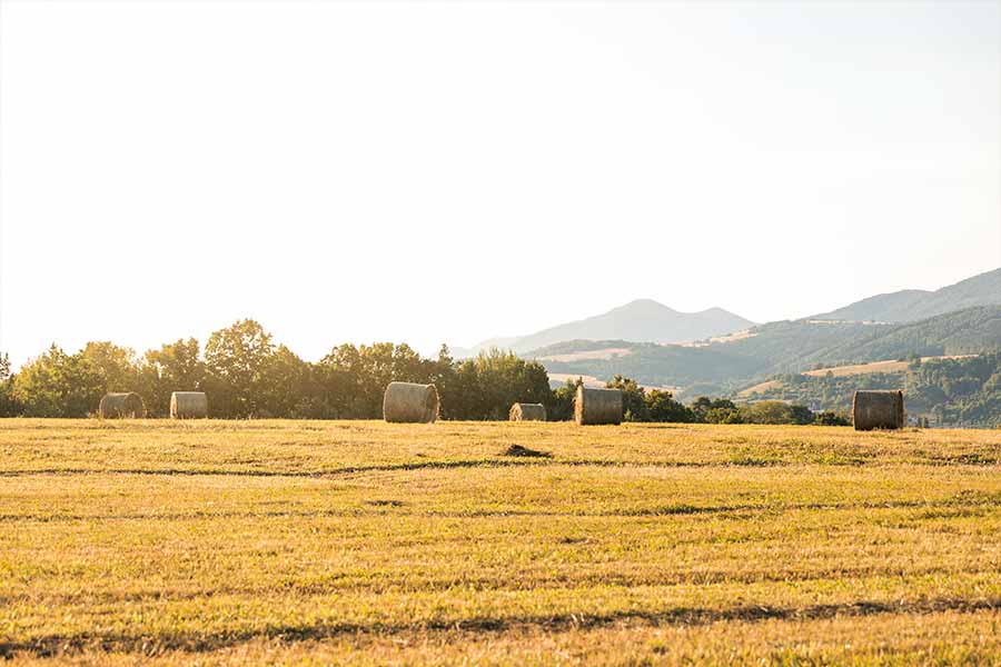 es-pot-construir-en-terreny-rustic-requisits-i-normativa-a-espanya