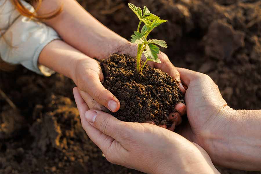 edafologia-la-ciencia-clau-per-a-la-sostenibilitat-del-sol-a-espanya